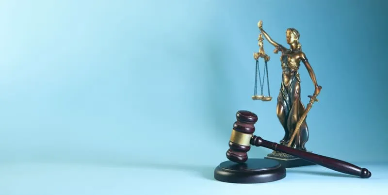 Legal Translation Services
